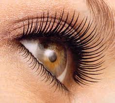 http://www.examiner.com/college-fashion-in-national/the-mascara-rundown-department-store-vs-drug-store