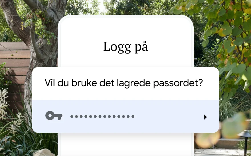 En påloggingsside for en reisereservasjon som spør om brukeren vil bruke et lagret passord. I bakgrunnen er det en naturscene.